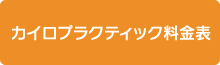 カイロプラクティック料金表