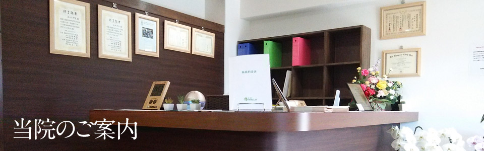 当院のご案内イメージ
