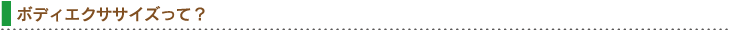 ボディエクササイズって？