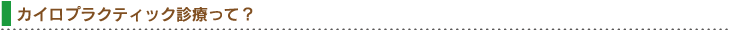カイロプラクティック診療って？