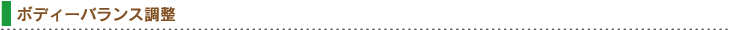 ボディーバランス調整