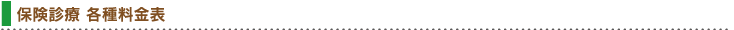 保険診療各種料金表